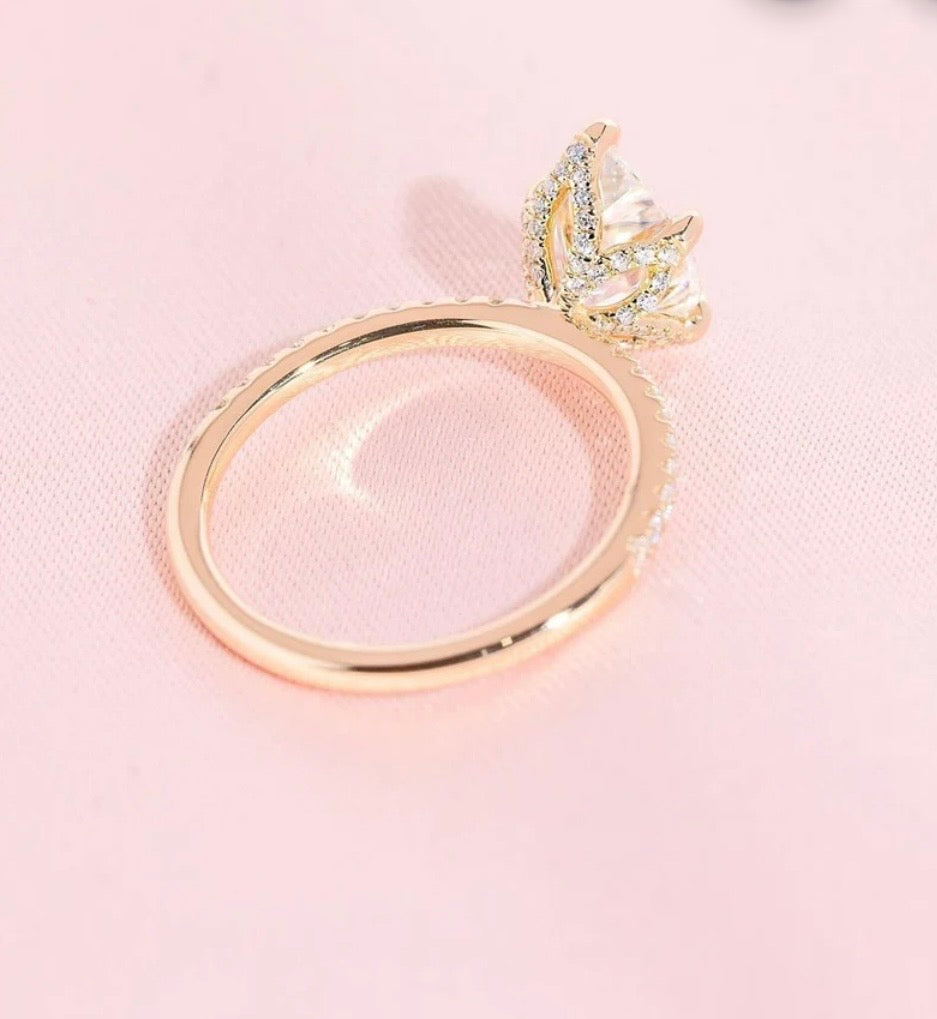 𝑁𝑦𝑙𝑎ℎ - 𝑇ℎ𝑒 𝑆𝑢𝑐𝑐𝑒𝑠𝑠𝑓𝑢𝑙 𝑂𝑛𝑒