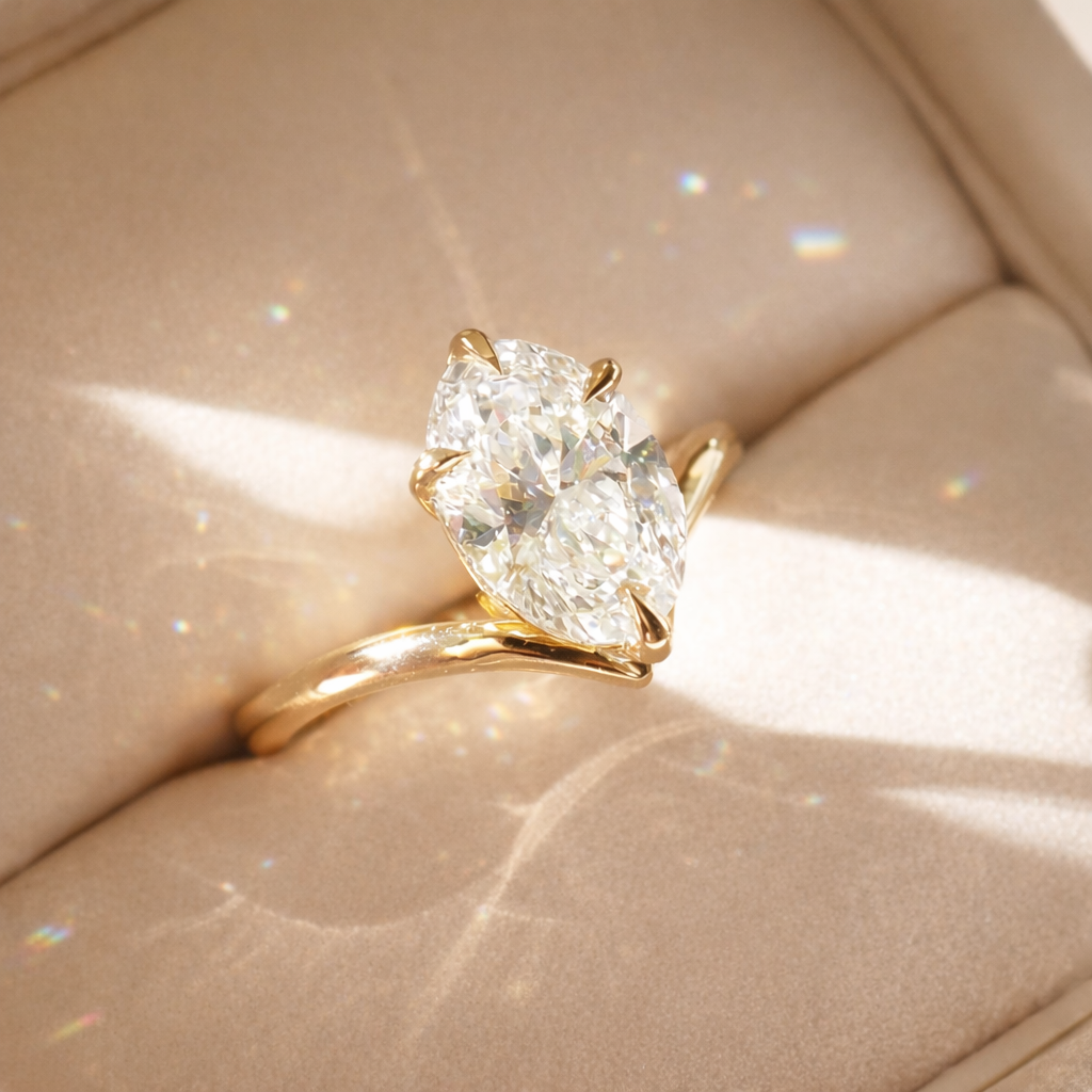 𝐵𝑖𝑎𝑛𝑐𝑎