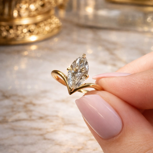 𝐴𝑛𝑛𝑎 - 𝑇ℎ𝑒 𝐹𝑎𝑣𝑜𝑢𝑟𝑒𝑑 𝑂𝑛𝑒