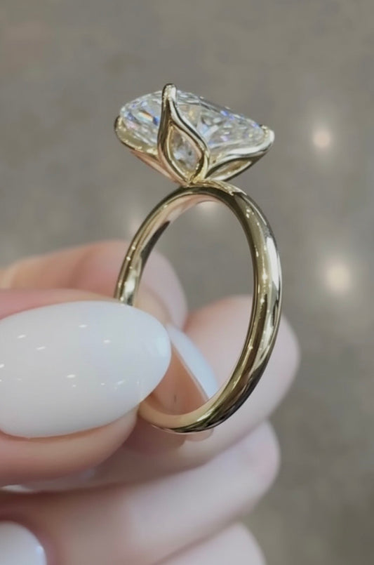 𝐿𝑒𝑖𝑙𝑎𝑛𝑖 - 𝑇ℎ𝑒 𝐻𝑒𝑎𝑣𝑒𝑛𝑙𝑦 𝐹𝑙𝑜𝑤𝑒𝑟