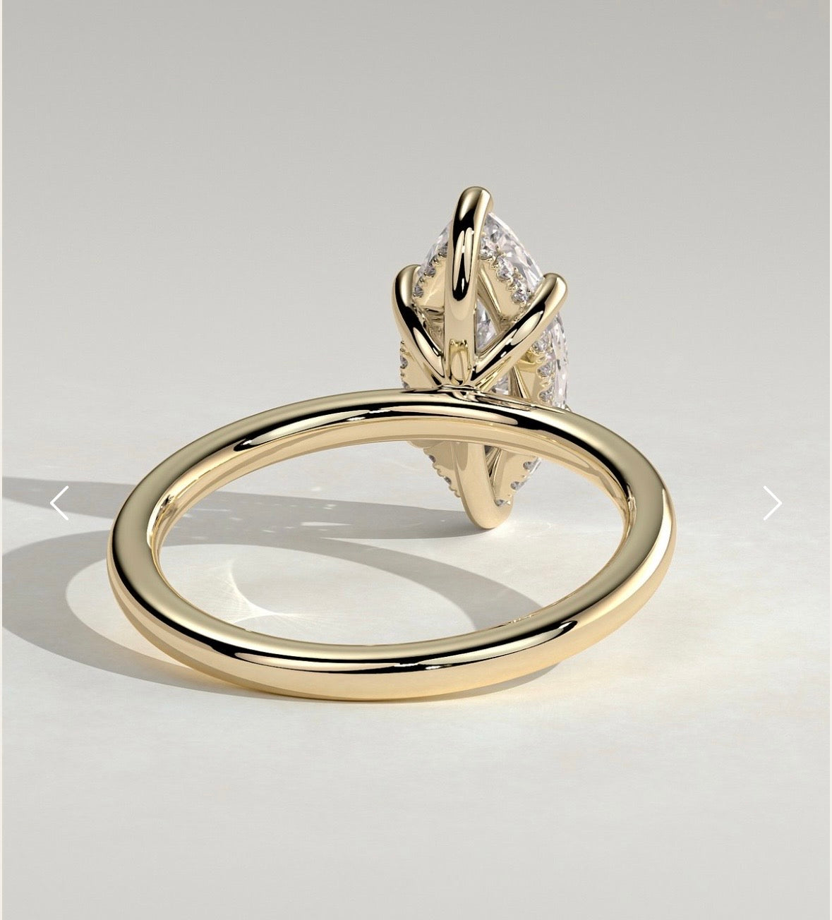 𝐾𝑎𝑦𝑙𝑎 - 𝐶𝑟𝑜𝑤𝑛 𝑜𝑓 𝐿𝑎𝑢𝑟𝑒𝑙𝑠