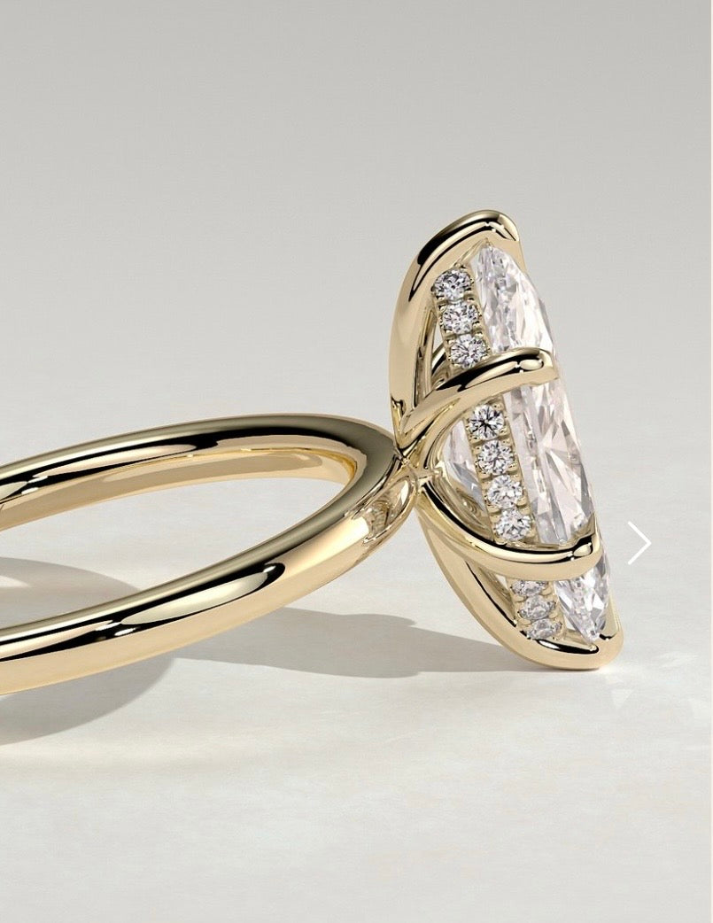 𝐾𝑎𝑦𝑙𝑎 - 𝐶𝑟𝑜𝑤𝑛 𝑜𝑓 𝐿𝑎𝑢𝑟𝑒𝑙𝑠