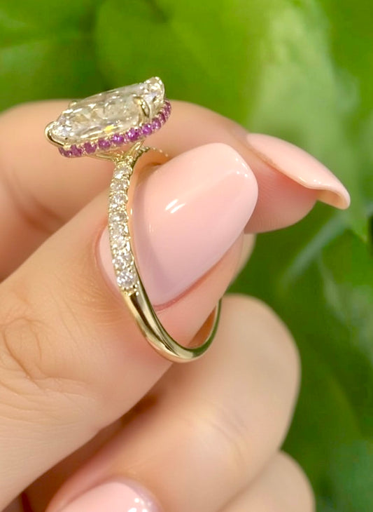 𝐼𝑟𝑖𝑠 - 𝐶ℎ𝑒𝑟𝑟𝑦 𝐵𝑙𝑜𝑠𝑠𝑜𝑚