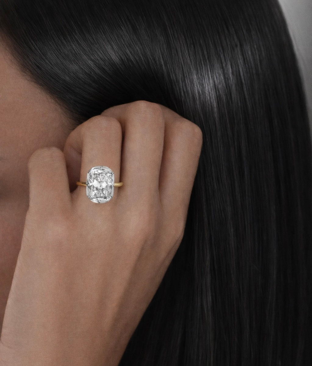 𝐺𝑒𝑜𝑟𝑔𝑖𝑎 – 𝐶𝑢𝑠ℎ𝑖𝑜𝑛