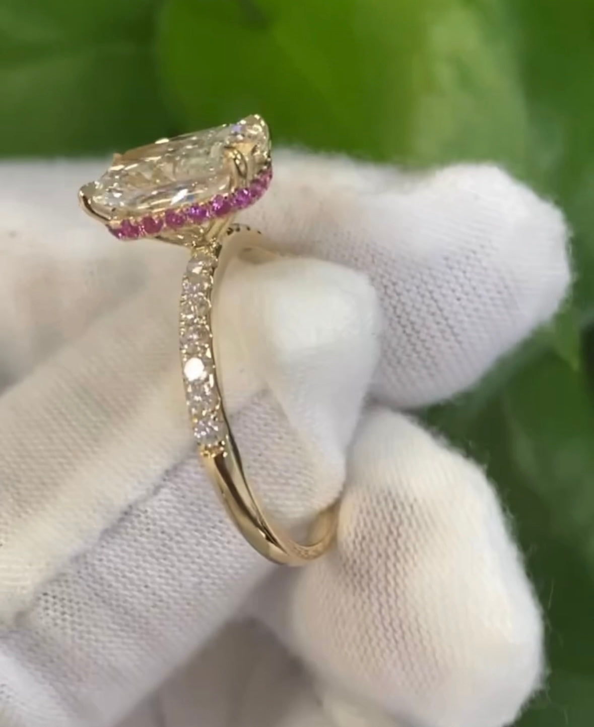 𝐴𝑙𝑒𝑛𝑎 - 𝑆ℎ𝑖𝑛𝑖𝑛𝑔 𝐿𝑖𝑔ℎ𝑡