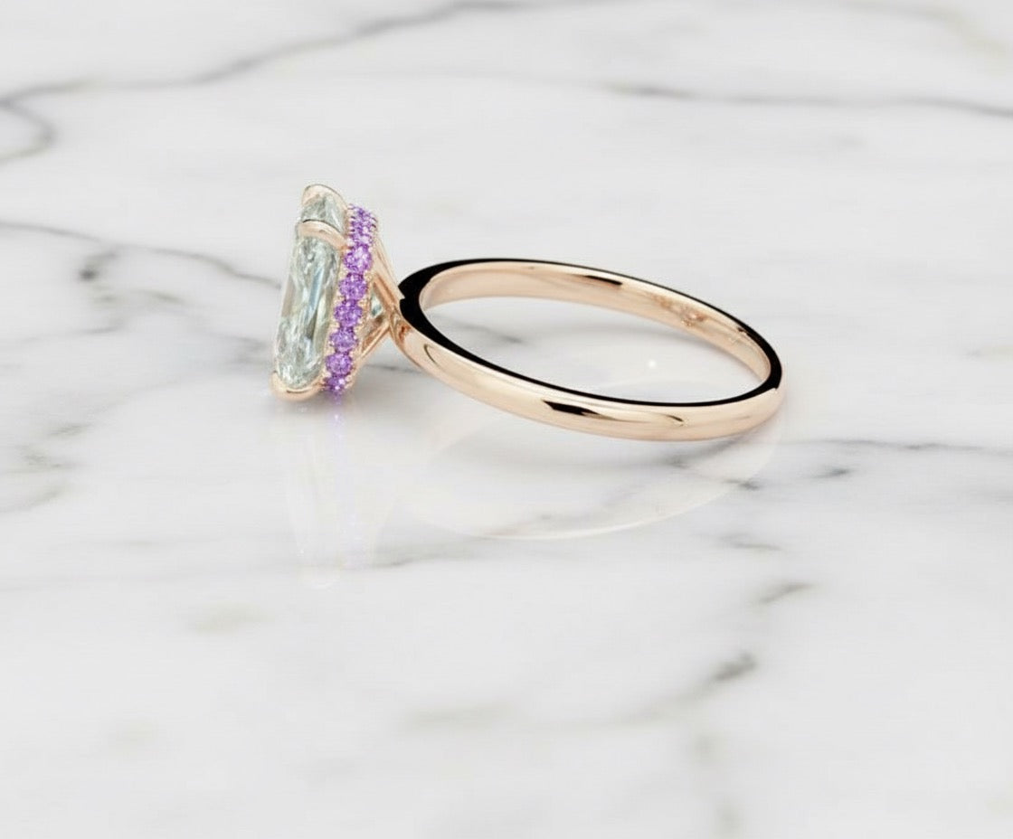 𝐼𝑟𝑖𝑠 - 𝐿𝑖𝑙𝑎𝑐