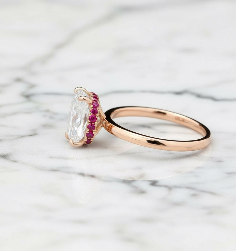 𝐼𝑟𝑖𝑠 - 𝑀𝑎𝑔𝑒𝑛𝑡𝑎